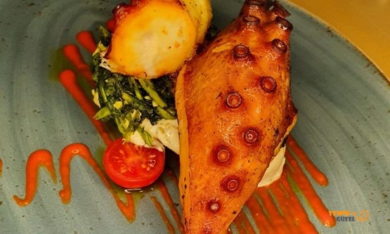 éLeBê Centro – Porto’da Modern Portekiz Restoranı – Ahtapot